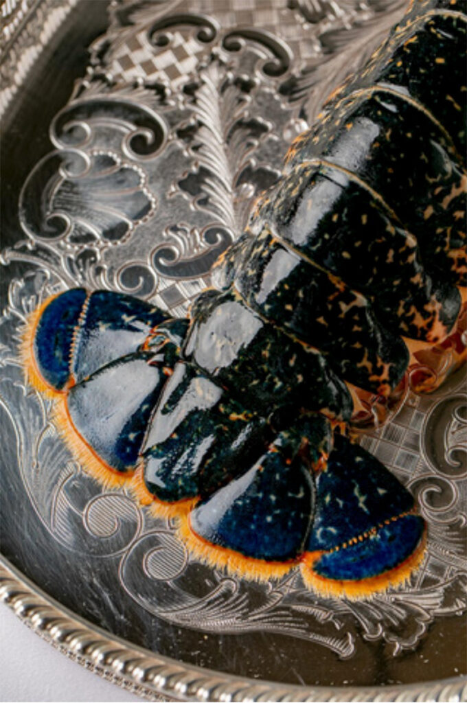 Alex Dilling Lobster Tail